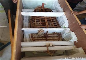 إحداها للملك خفرع.. المتحف المصري الكبير يستقبل 140 قطعة أثرية جديدة