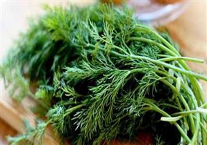  يسكن آلام الطمث ويعالج الأرق.. 6 فوائد مذهلة للشبت (صور)