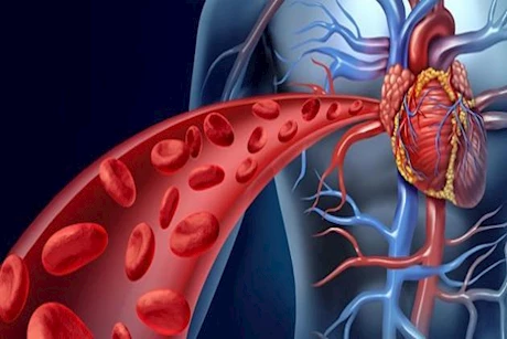 أطعمة تساعد على تنشيط الدورة الدموية.. احرص على تناولها