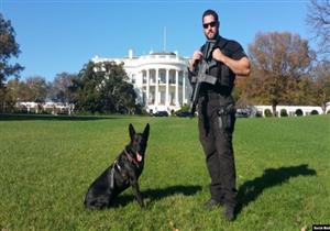 بالفيديو ... تكريم كلب متقاعد لدوره في حماية أوباما
