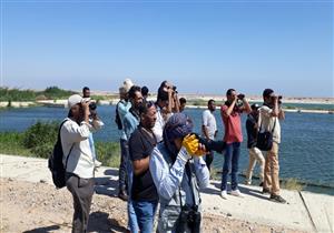 "البيئة": برنامج تدريبي للشباب لإعداد كوادر في مراقبة ورصد الطيور المهاجرة 