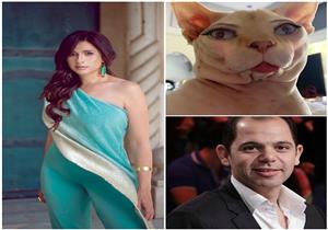   فيديو| رامي إمام يشتكي ياسمين عبدالعزيز: "قطعنا الخلف".. والفنانون يتضامنون معه