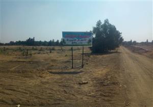 الخير يحصده أهل الحاجة.. حكاية "مزرعة الكرامة" ببولاق الوادي الجديد (صور)