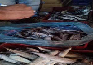 ضبط 1800 كيلو سمك "ماكريل" منتهي الصلاحية في القليوبية