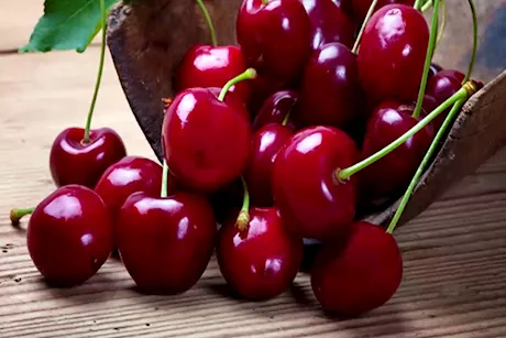 ماذا يفعل بجسمك؟.. 10 فوائد صحية لتناول الكرز