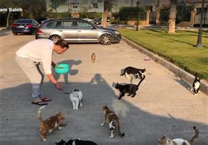 فيديو| بسبب القطط.. مدحت صالح ينال إشادات رواد مواقع التواصل الاجتماعي