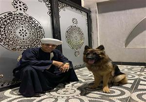 محمود التهامي عن تربية الكلاب: "ربنا ما خلقش حاجة نجسة".. والإفتاء ترد