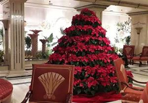 فنادق الأقصر تتزين بأشجار الكريسماس استعدادًا لاحتفالات رأس السنة