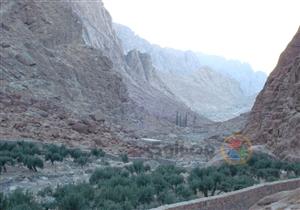 بالصور.. "وادي الأربعين" قبلة السائحين بسانت كاترين