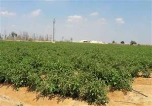 "الإسكان": إعفاء المخصص لهم أراضٍ زراعية بالمدن الجديدة من غرامات التأخير