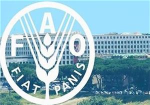 الصندوق الدولي للتنمية الزراعية يمنح إثيوبيا 90 مليون دولار