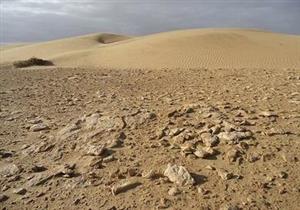 منظومة للذكاء الإلكتروني تساعد في جهود مكافحة التصحر وإزالة الغابات