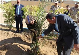 بالصور.. نائب مدير أمن الوادي الجديد يغرس النخل في حديقة ديوان الإذاعة