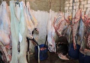 "البيئة": إجراءات قانونية ضد مجزر مخالف بسوهاج