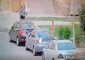 قصة كلبين هاجما طفلًا في "مدينتي"