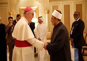 الطيب يلتقي القيادات الدينية المشاركة في "الأخوة الإنسانية" بالإمارات 