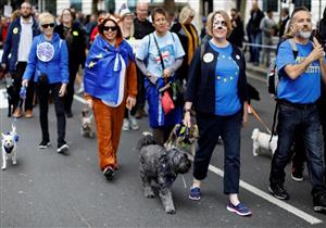 مسيرة بالكلاب في بريطانيا للمطالبة باستفتاء ثان على الخروج من الاتحاد الأوروبي