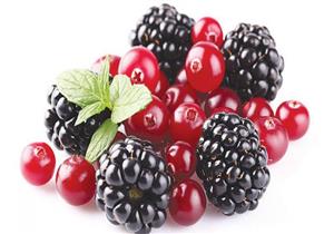 قنابل فيتامينات صغيرة لجسمك... لماذا يحب خبراء التغذية التوت؟ 