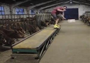 شاهد.. هوس راعي بقر إسباني برياضة الرولر 