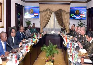 وزير الدفاع يلتقي نظيره التنزاني.. ويوقعان عددًا من مذكرات التفاهم