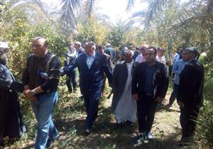 محافظ الوادي الجديد ووفد "تنمية الصادرات البستانية" يتفقدان عددا من المشروعات