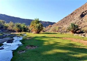 وادي "غبرة" بالمدينة .. غيّر النبي اسمه فأصبح مخضرًا