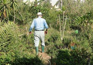 "بهجة القلوب" تفتقد صاحبها.. ما مصير حديقة مصر الجديدة بعد النهري؟