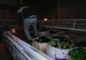 "الصدقة مش بس فلوس".. "خضار وفاكهة ولحوم" من "بيت الطعام" للمحتاجين في كفر الشيخ