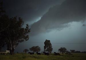  الرياح سرعتها 150 كم.. إعصار "تريفور" يضرب شمال أستراليا