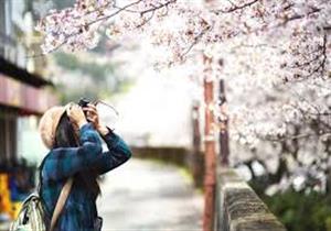 8 نصائح لرحلة سفر مميزة هذا الربيع