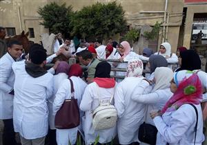 تحصين 1454 طائرا في حملة بيطرية بقرى القليوبية