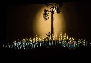   من مصر لفرنسا.. هاني ونيكول ينقلان "الظل" عبر الحدود