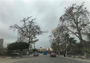 الأرصاد تكشف حقيقة تعرض البلاد لشتاء قارس البرودة 