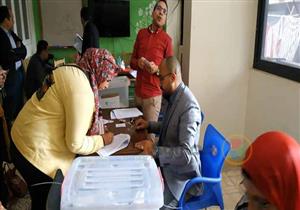   مؤشرات أولية: بدري الهواري نقيبًا لصيادلة القاهرة.. ونجوى هاشم للجيزة