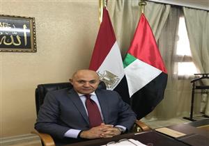 سفير مصر في الإمارات: الاستفتاء شهد إقبالاً متزايدًا على مدار الـ3 أيام