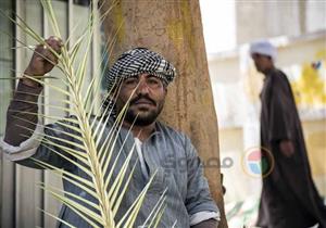 من جاور الاستفتاء.. بائعو السعف يفترشون بجانب اللجان الانتخابية