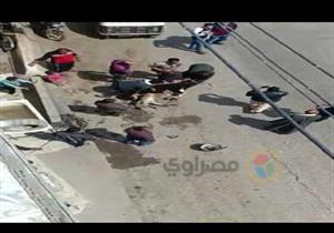 صور| أهالي المنوفية يذبحون عجلا احتفالا بالاستفتاء على تعديل الدستور