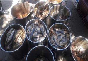 ضبط 1.5 طن فسيخ ورنجة فاسدة في حملة تموينية بالإسكندرية