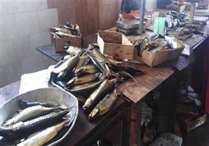 ضبط 2,5 طن أسماك مملحة غير صالحة للاستهلاك الآدمي في الفيوم