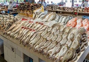 "البوري" بـ50 جنيهًا.. استقرار أسعار الأسماك بأسواق دمياط