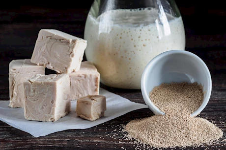 ماذا يحدث لجسمك عند شرب الخميرة على الريق؟