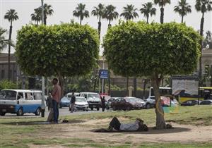 41 على القاهرة.. تفاصيل حالة الطقس اليوم الأربعاء (موجة شديدة الحرارة)