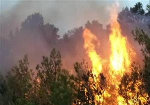 حريق ثان في غابة قرب حدود إسرائيل مع غزة جراء اطلاق بالونات حارقة