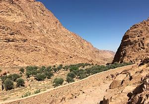 الجريدة الرسمية تنشر قرار تنمية شبه جزيرة سيناء بشأن خدمات منفعة عامة