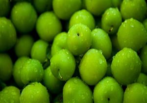 لعشاق البرقوق الأخضر..لا تتناول أكثر من 10 حبات يوميًا