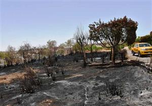 محافظ أسوان يحيل مسئولي الحديقة الاستوائية للنيابة - صور