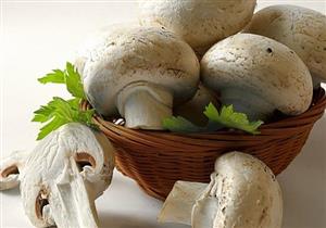 فصيلة من "عيش الغراب" تقدم لعلاج الاكتئاب.. تعرف عليها