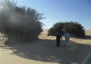 فيديو.. قصة عزيب الحفر.. دُرة الصحراء البيضاء وأهم محطات الرحالة في الفرافرة