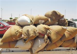 مجلس شمال سوريا يمنع دخول القمح الى مناطق سيطرة الحكومة 