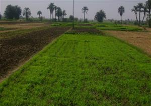 "الري": ليست لنا علاقة بالأرصاد.. فقط نتنبأ بكمية الأمطار وأماكن سقوطها